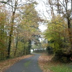 Route de la Ménardière-Le bois